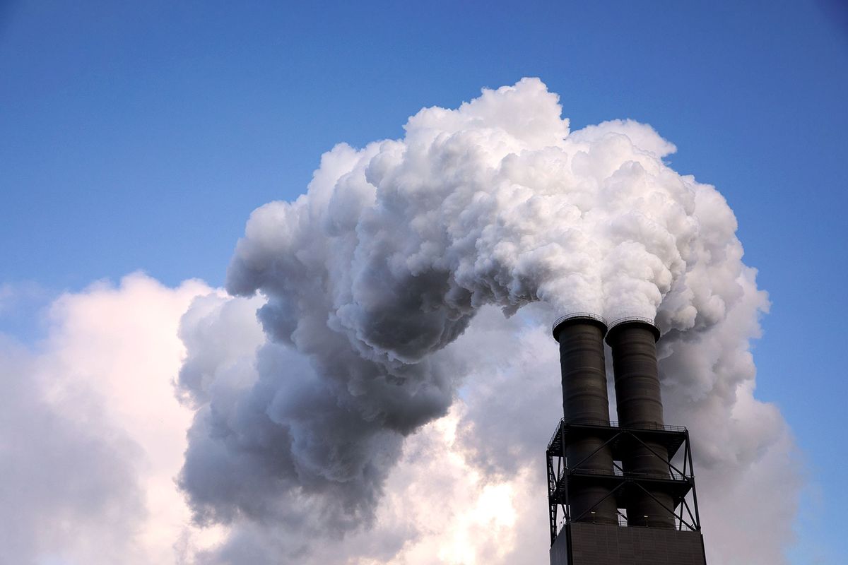 Exhaust air rises from the chimneys of the Moorburg coal-fired power plant into the sky. (Christian Charisius/picture alliance via Getty Images)