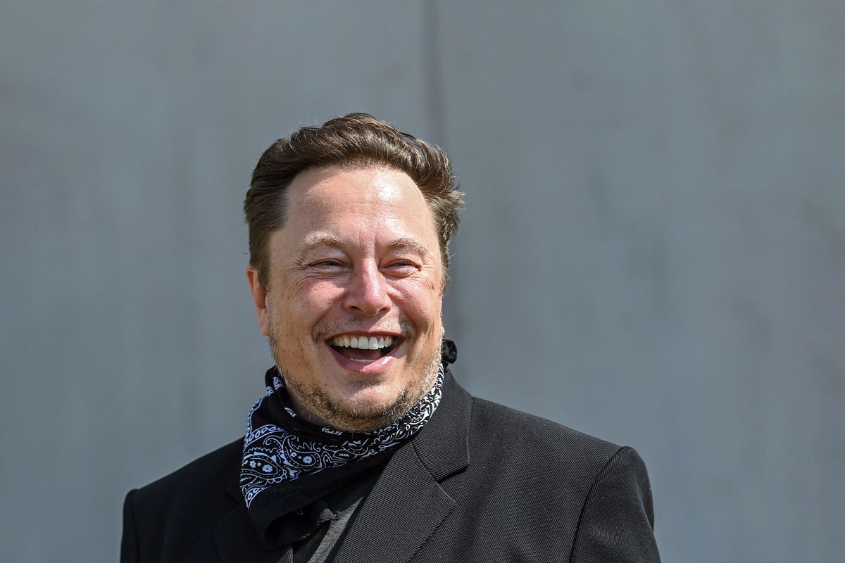 Elon Musk, Tesla CEO (Patrick Pleul/picture alliance via Getty Images)