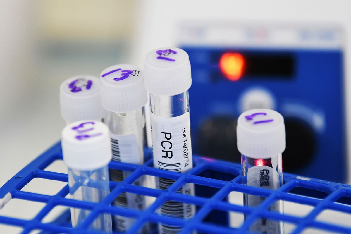 PCR tests inside vials awaiting testing inside an on-site laboratory for COVID-19 beside the departures hall at Sydney Airport on November 23, 2021 in Sydney, Australia. (James D. Morgan/Getty Images)
