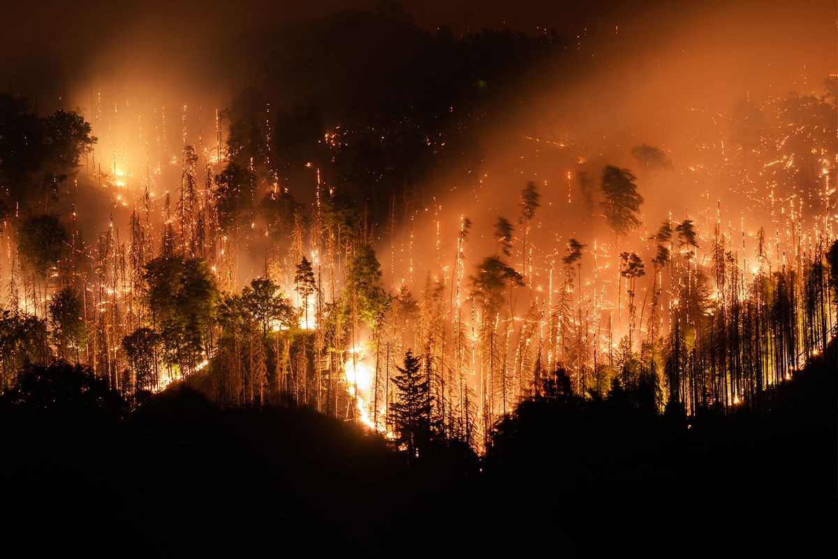 View of the forest fire in the Czech National Park Bohemian Switzerland in Hrensko near the border with Saxony, on 26 July 2022 (Robert Michael/picture alliance via Getty Images)