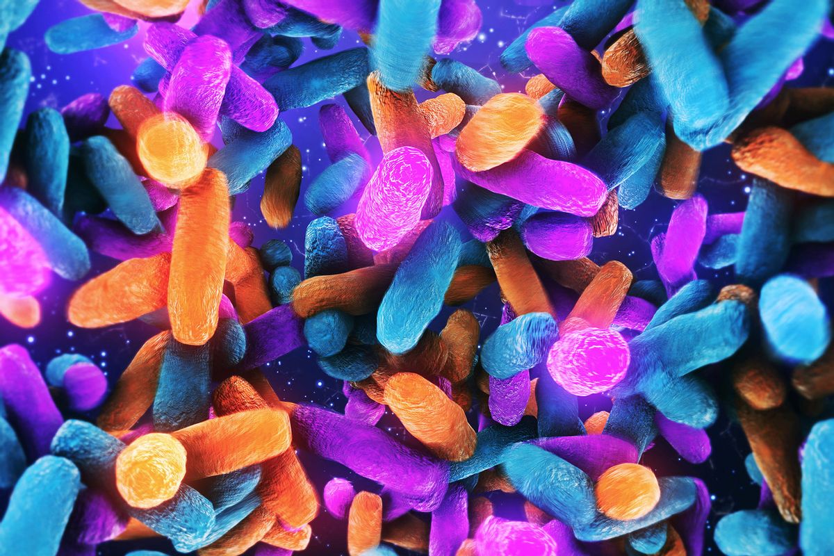 Bacteria Lactobacillus in human intestine (Getty Images/nopparit)