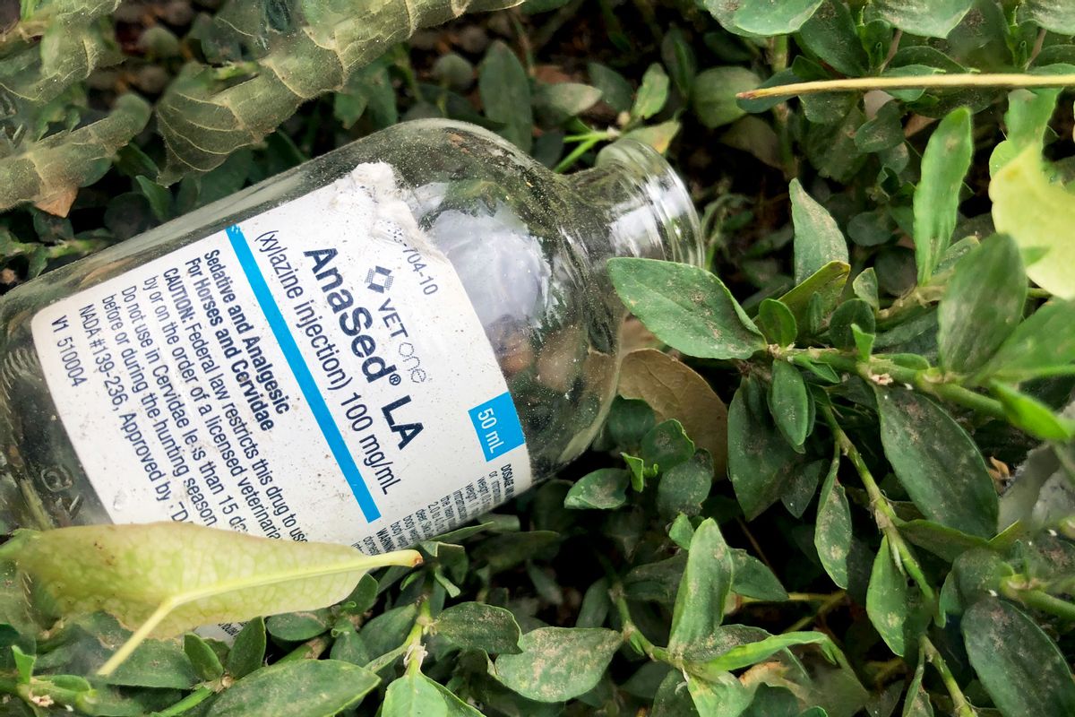 Empty xylazine bottle found on the streets of Philadelphia (Christopher Moraff / Narcomedia)