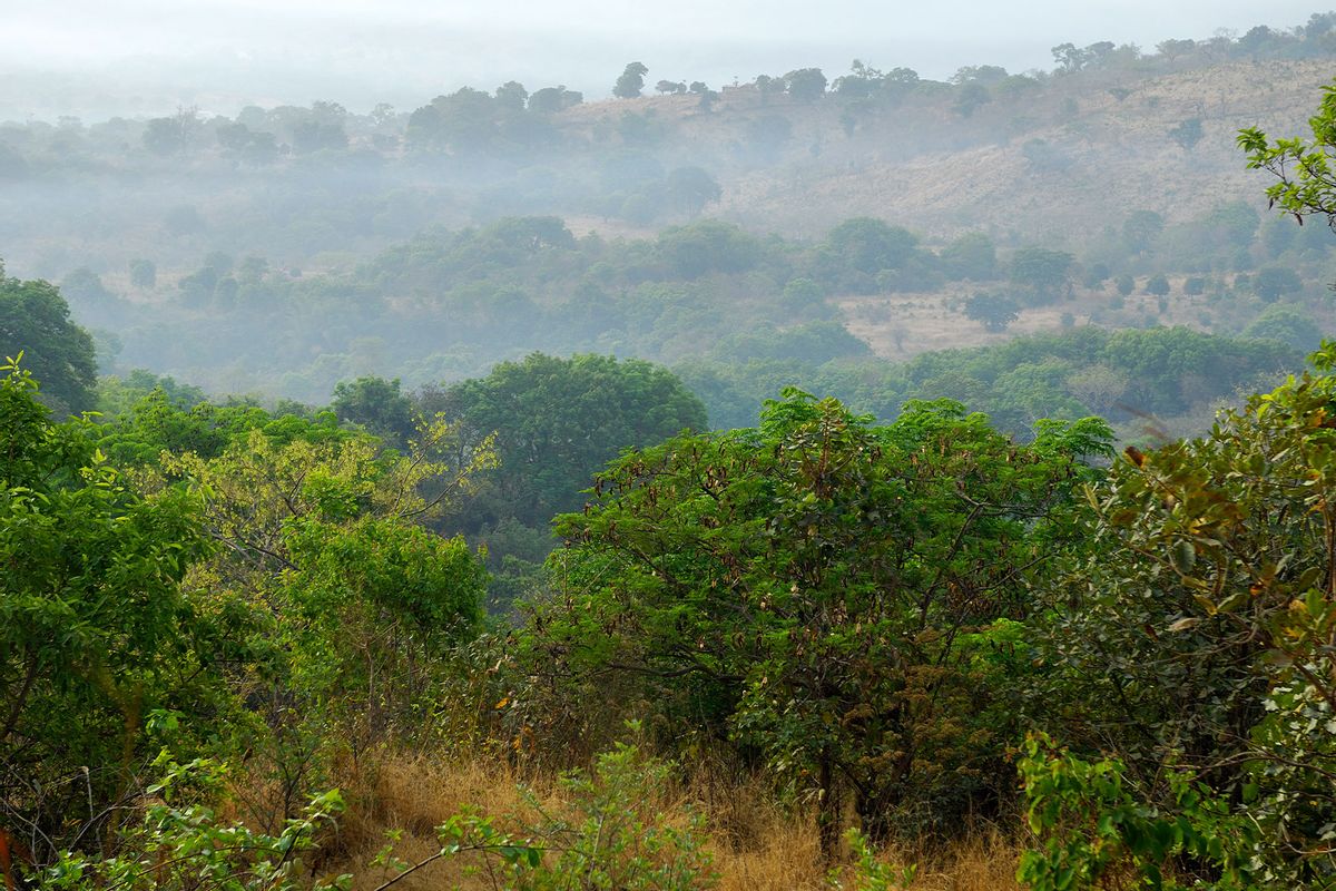Forest landscape in the vicinity of Labé in March 2008, Guinea-Conakry (François GOUDIER/Gamma-Rapho via Getty Images)