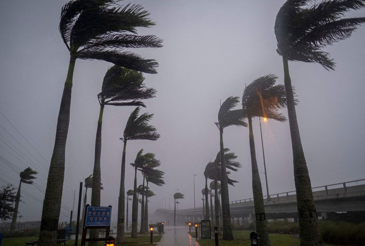 Wind blows palm trees ahead of Hurricane Ian in Charlotte Harbor, Florida, on September 28, 2022. (RICARDO ARDUENGO/AFP via Getty Images)