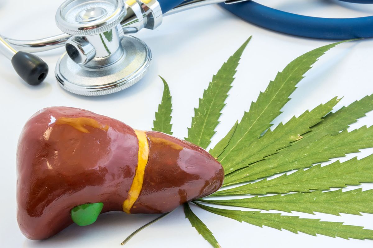 Cannabis and liver (Getty Images/Shidlovski)