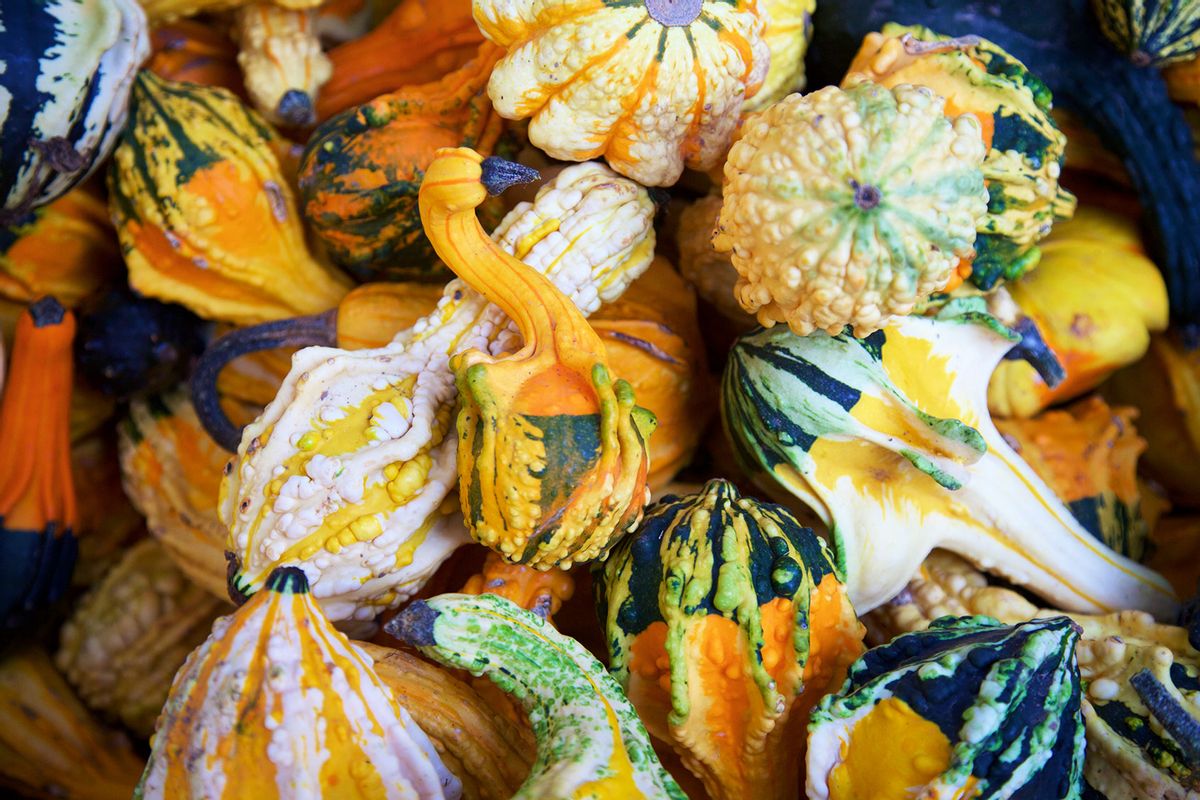 Gourds at the farmer's market (Getty Images/BruceBlock)