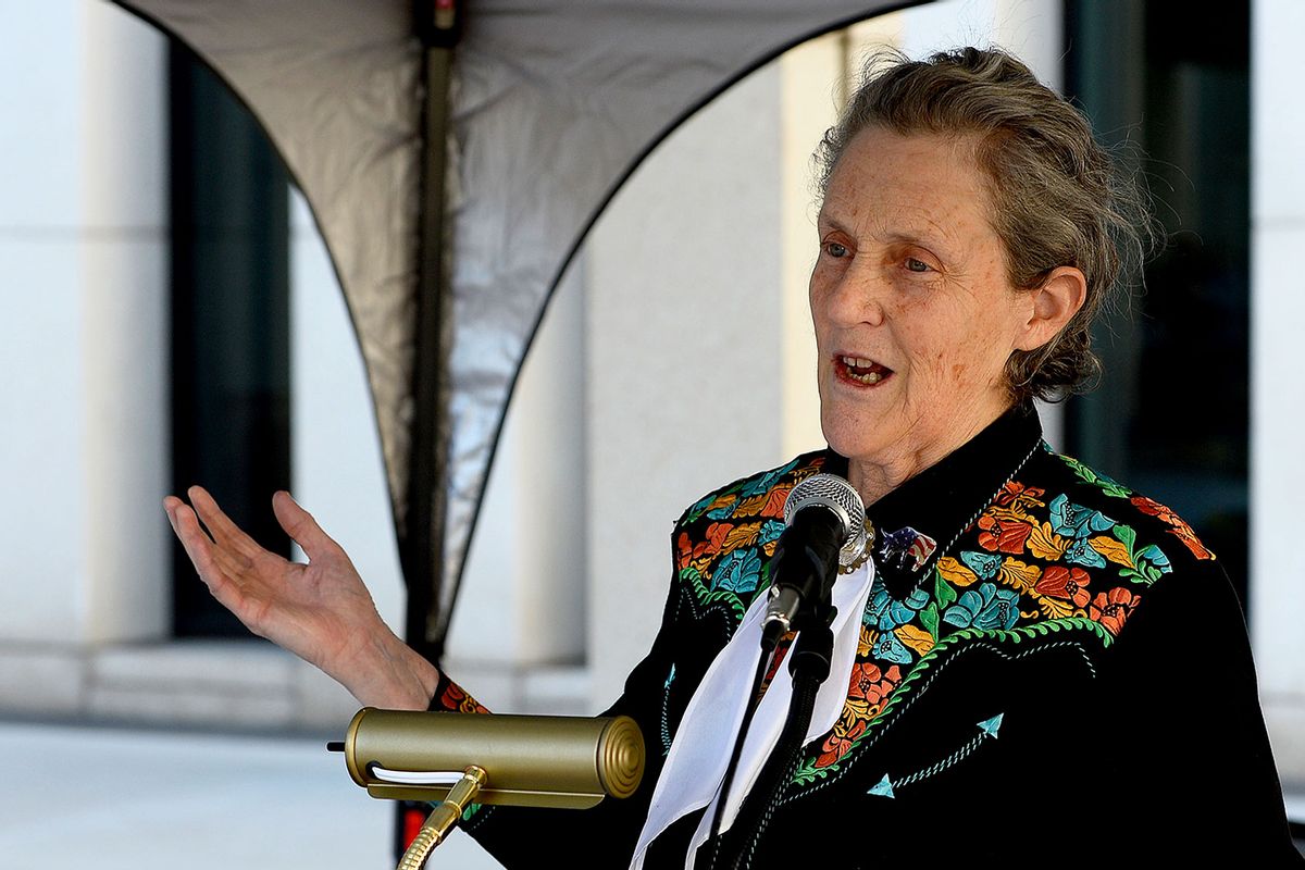 Dr. Temple Grandin speaks outside of the US Patent and Trademark Office on April 3, 2016 in Denver, Colorado. (Helen H. Richardson/The Denver Post via Getty Images)