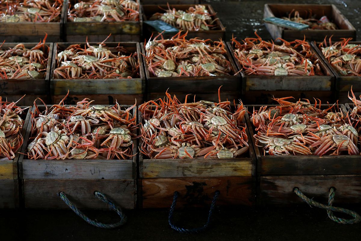 Freshly caught snow crabs in boxes (Buddhika Weerasinghe/Getty Images)