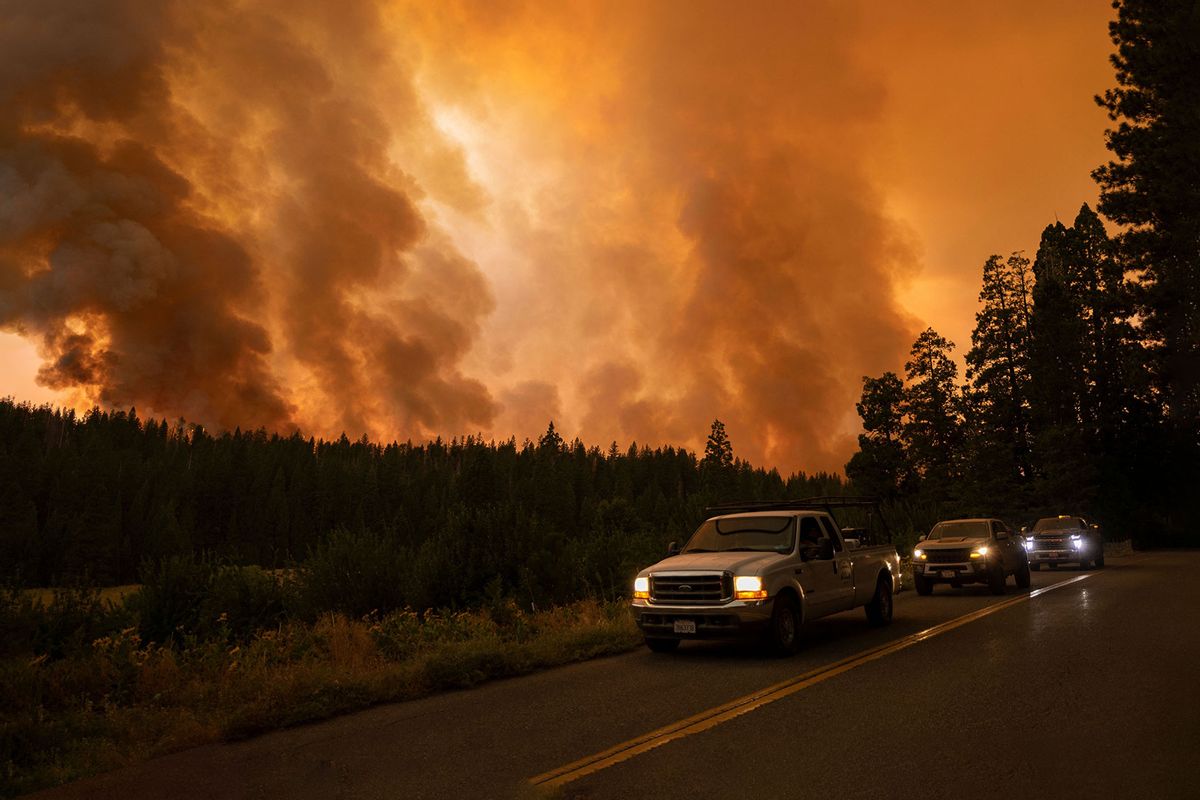 A forest is incinerated by the Oak Fire near Midpines, northeast of Mariposa, California, on July 23, 2022. (DAVID MCNEW/AFP via Getty Images)