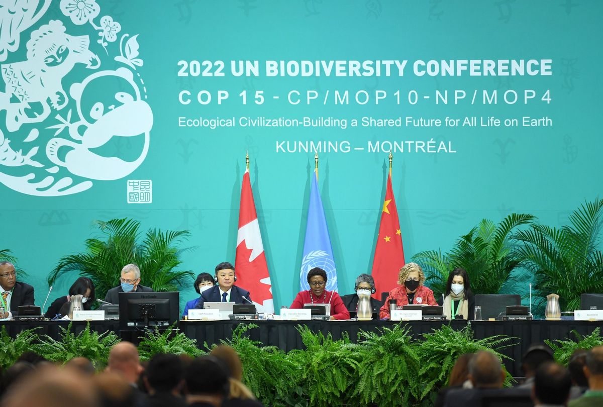 The 15th meeting of the Conference of the Parties to the UN Convention on Biological Diversity COP15 in Montreal, Canada on Dec. 7, 2022. (Ren Pengfei/Xinhua via Getty Images)