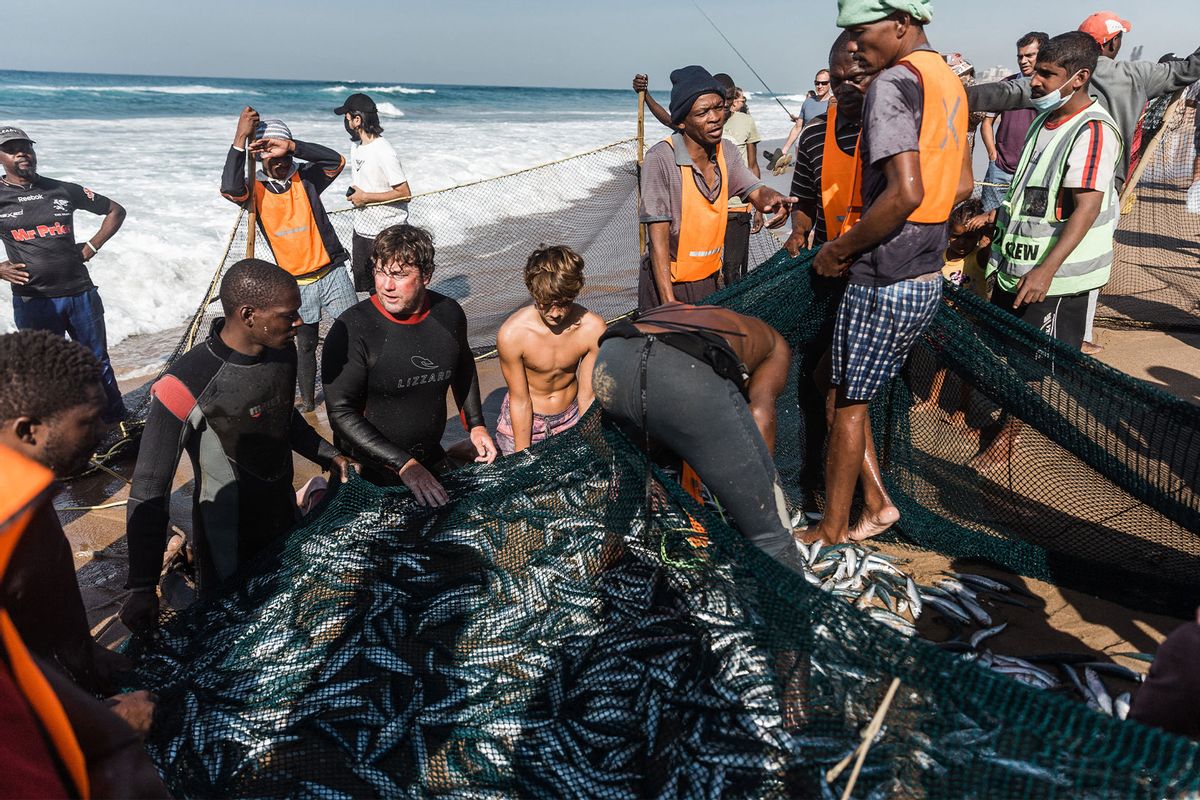 Netters try to catch sardines at the Warner beach, south of Durban on June 20, 2021. (RAJESH JANTILAL/AFP via Getty Images)
