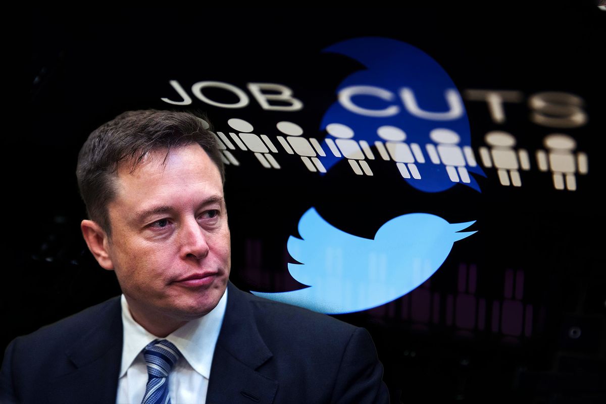Elon Musk | Twitter (Photo illustration by Salon/Getty Images)