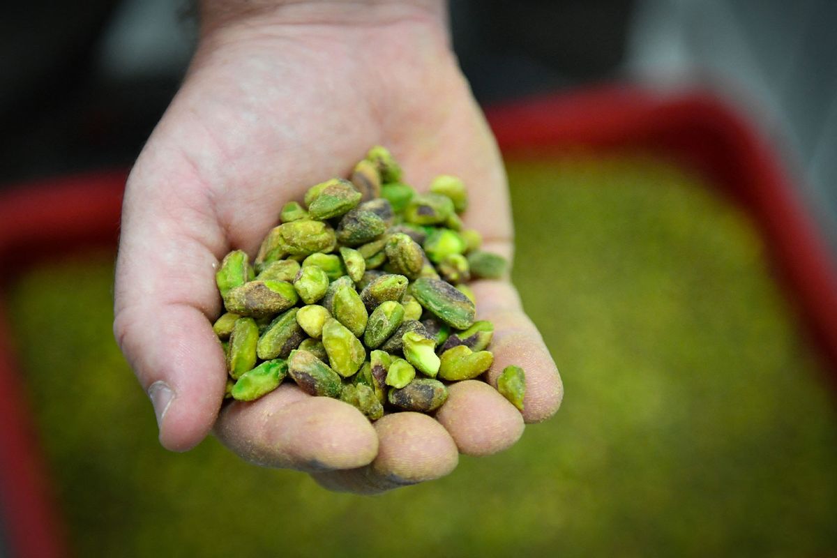 Hand full of pistachios (GERARD JULIEN/AFP via Getty Images)