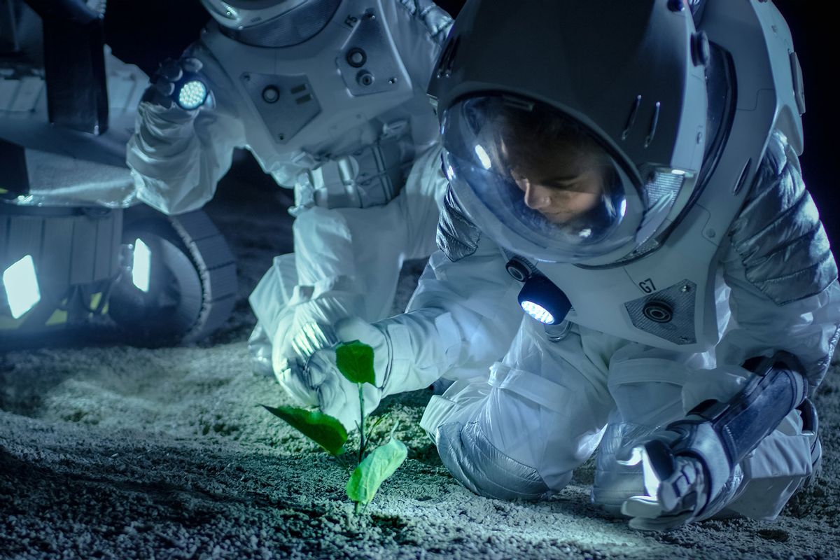 Astronauts on the Alien Planet Discover Plant Life. (Getty Images/gorodenkoff)
