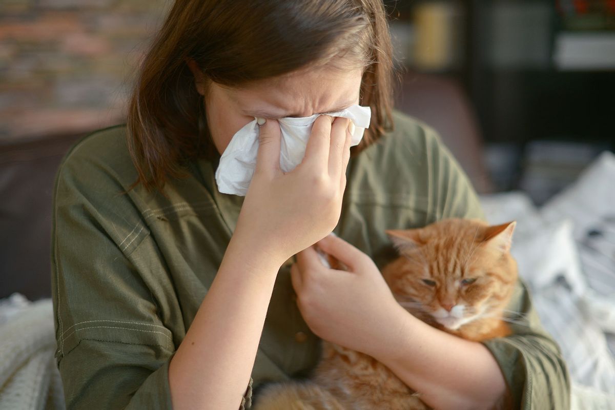 Cat Allergy (Getty Images/elenaleonova)