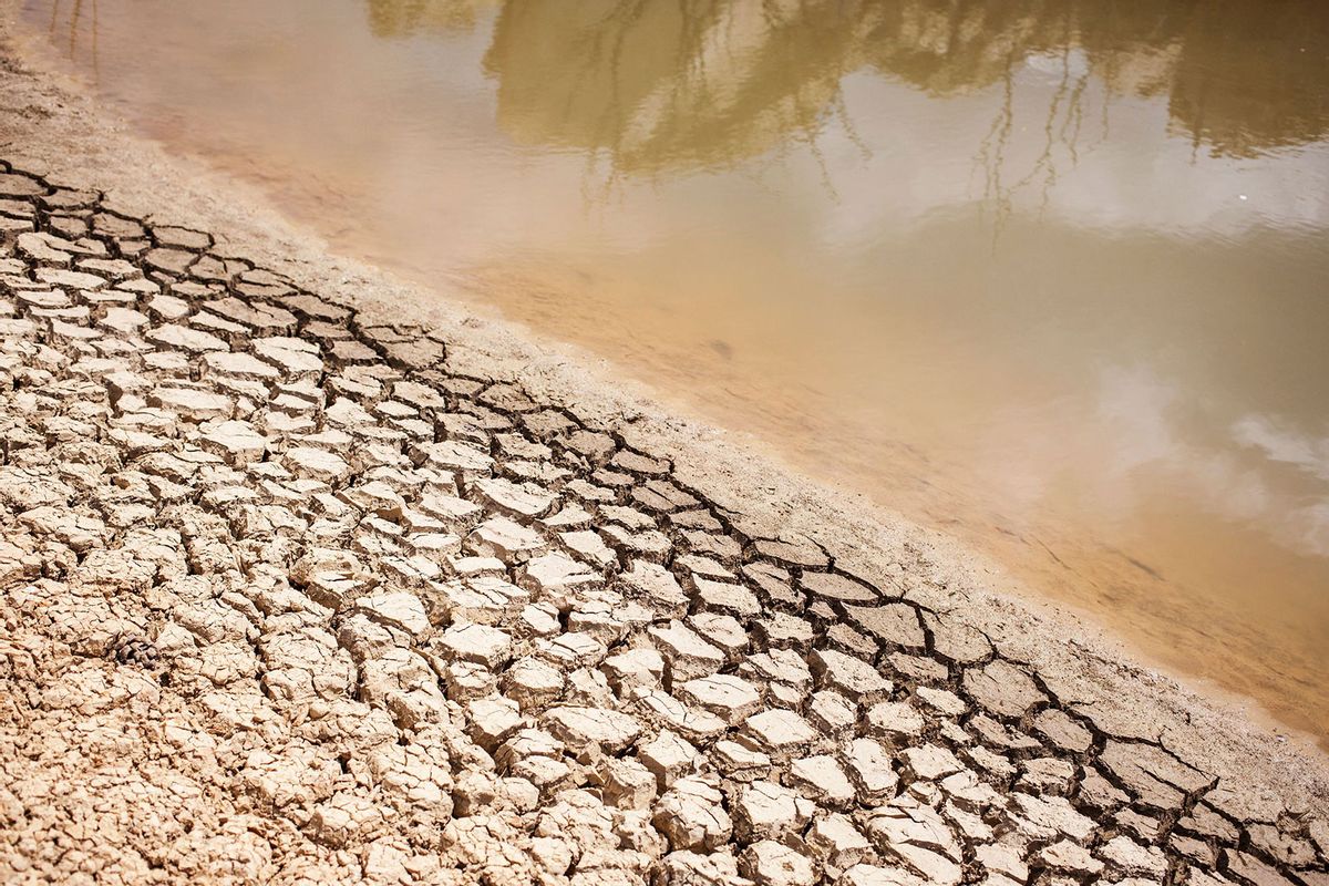 A dried out bank of a nearly water empty dam is pictured on a farm in Piket Bo-berg, Piketberg, north of Cape Town, on March 7, 2018 as a result of a three-year-long drought. (WIKUS DE WET/AFP via Getty Images)