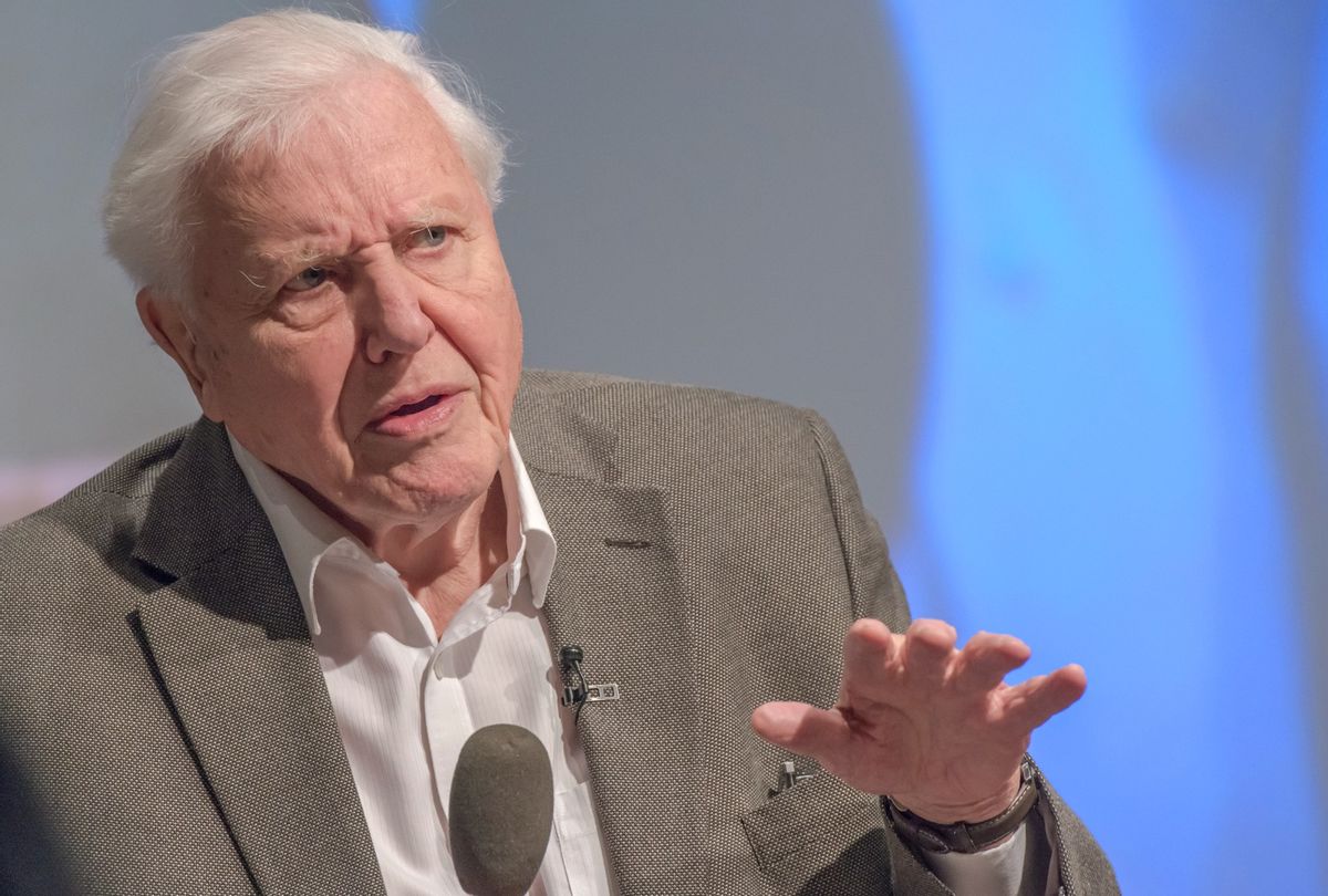 Sir David Attenborough addresses the UK Climate Assembly on January 25, 2020 in Birmingham, England.  (Richard Stonehouse/Getty Images)