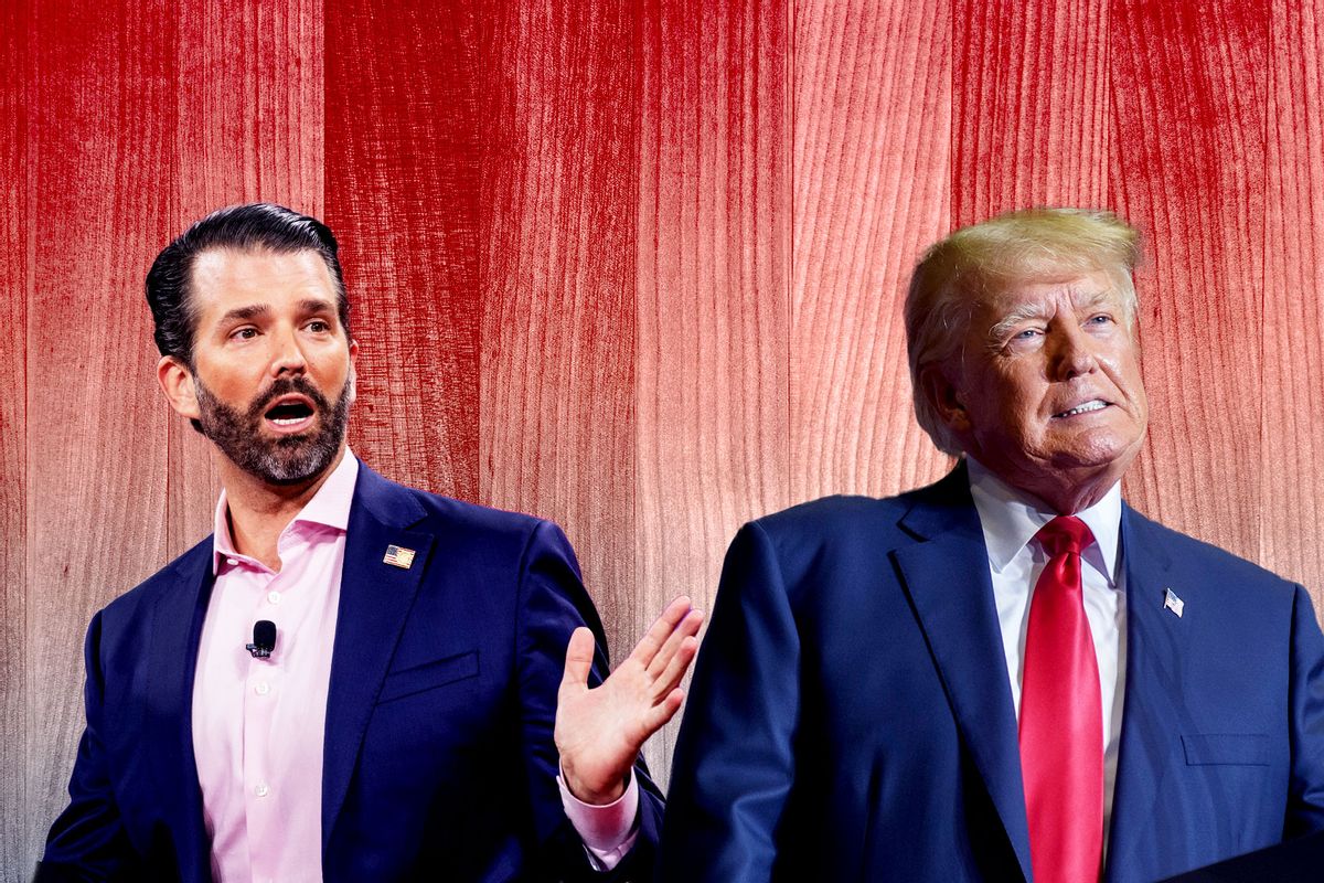 Donald Trump Jr. and Donald Trump (Photo illustration by Salon/Getty Images)