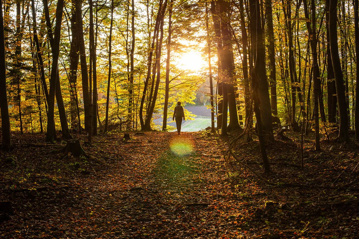 Woman walking through the forest at sunset (Getty Images/Westend61)