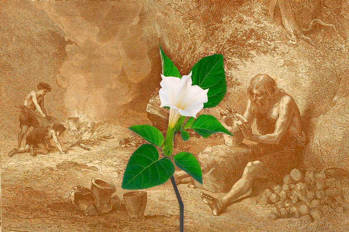 Datura flower, over illustration of Bronze Age Potter (Photo illustration by Salon/Getty Images)