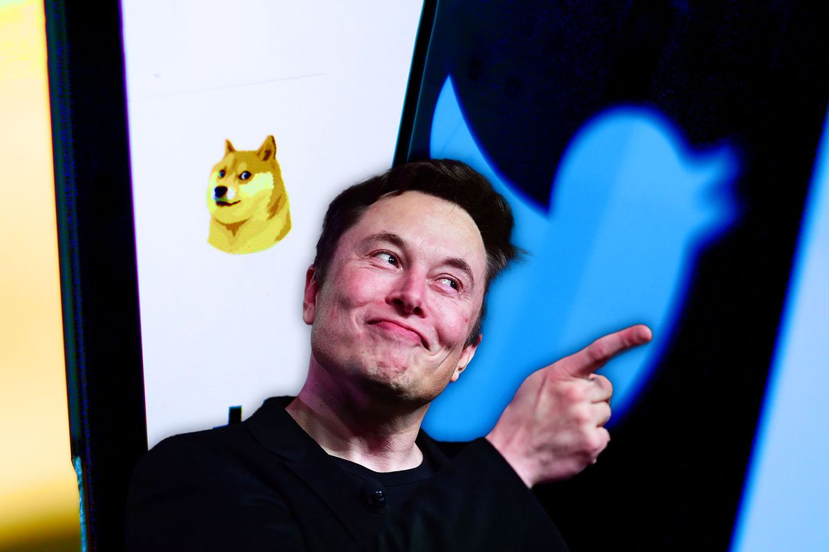 Elon Musk, and the Dogecoin and Twitter logos (Photo illustration by Salon/Getty Images)