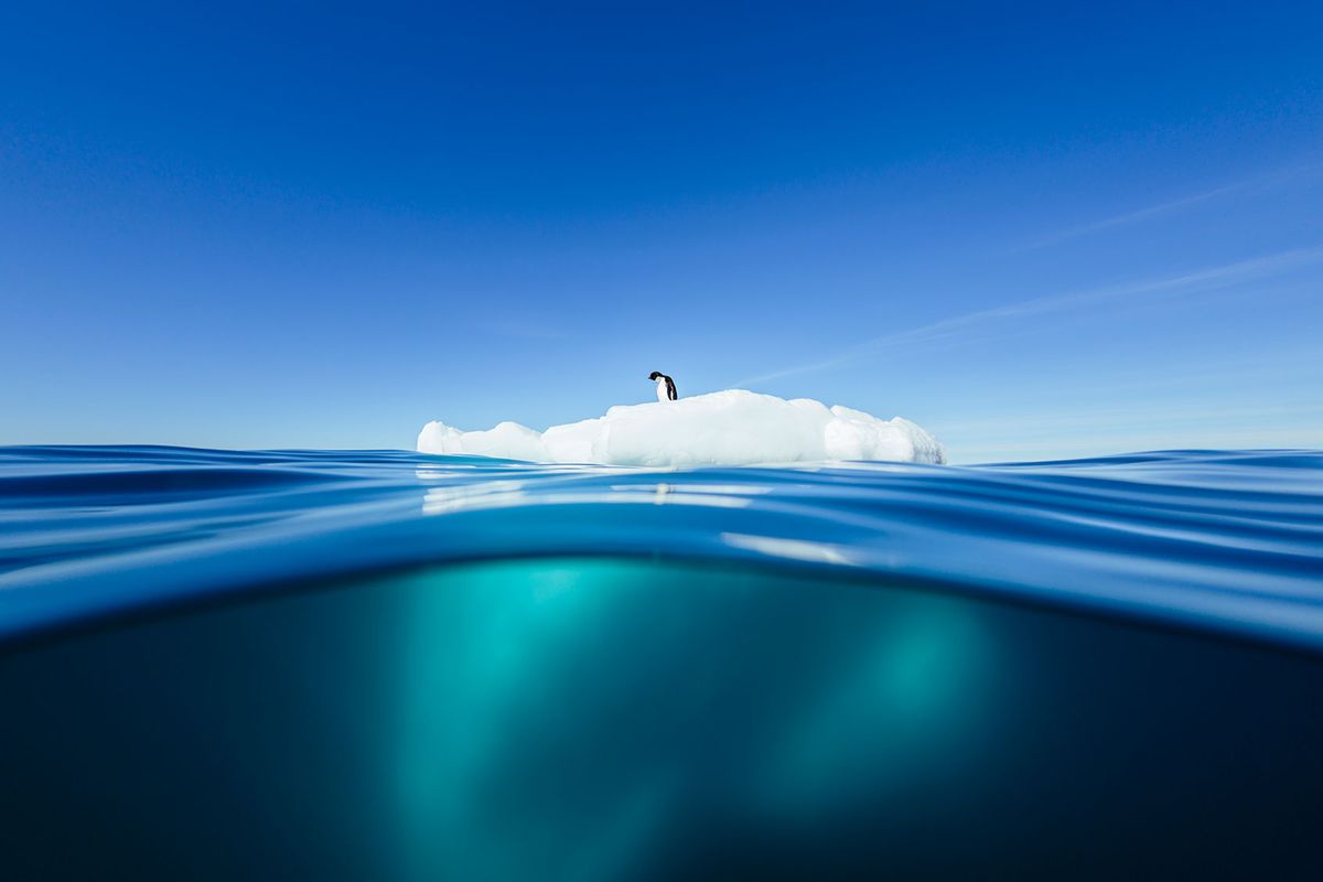 Lone penguin standing on ice floe (Getty Images/Andrew Peacock)