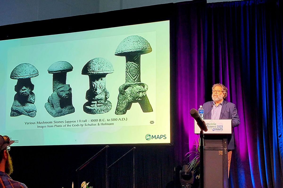 Psychedelics conference presentation, showing various stone mushrooms (Photo by Rae Hodge)