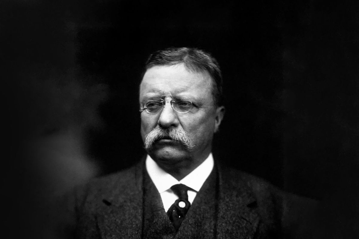 Theodore Roosevelt (Getty Images/John Parrot/Stocktrek Images)