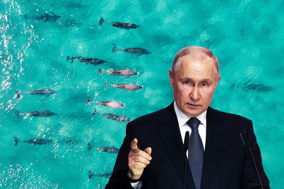 Vladimir Putin | Dolphins (Photo illustration by Salon/Getty Images)