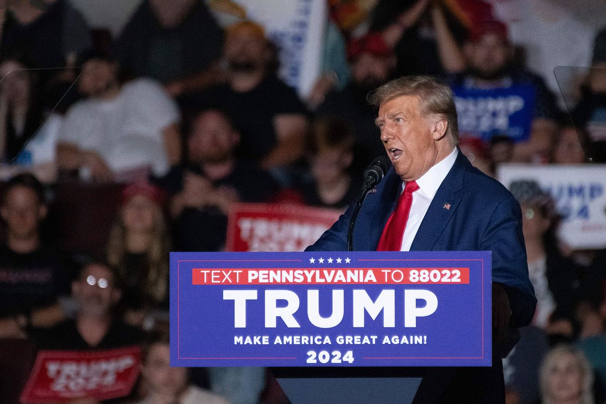 Former US President and 2024 presidential hopeful Donald Trump speaks during a campaign rally in Erie, Pennsylvania, on July 29, 2023. (JOED VIERA/AFP via Getty Images)