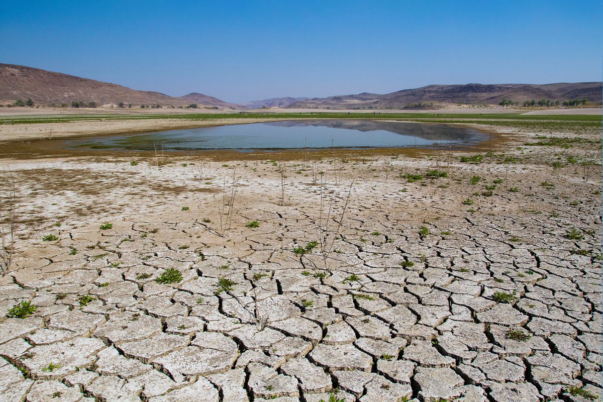 Little water remaining in a drying lake bed. Nevada continues to suffer through a drought. (Ty O'Neil/SOPA Images/LightRocket via Getty Images)