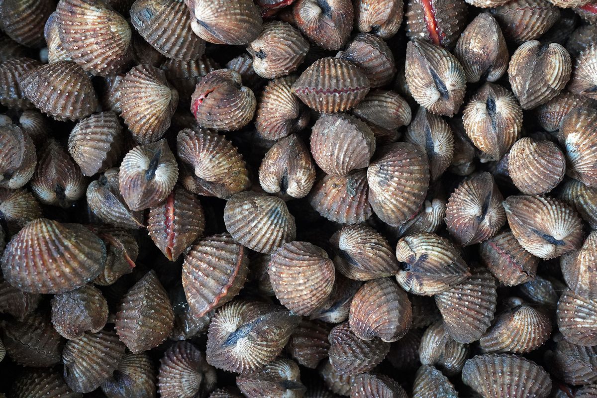Fresh cockles clam in the market (Getty Images/szefei)