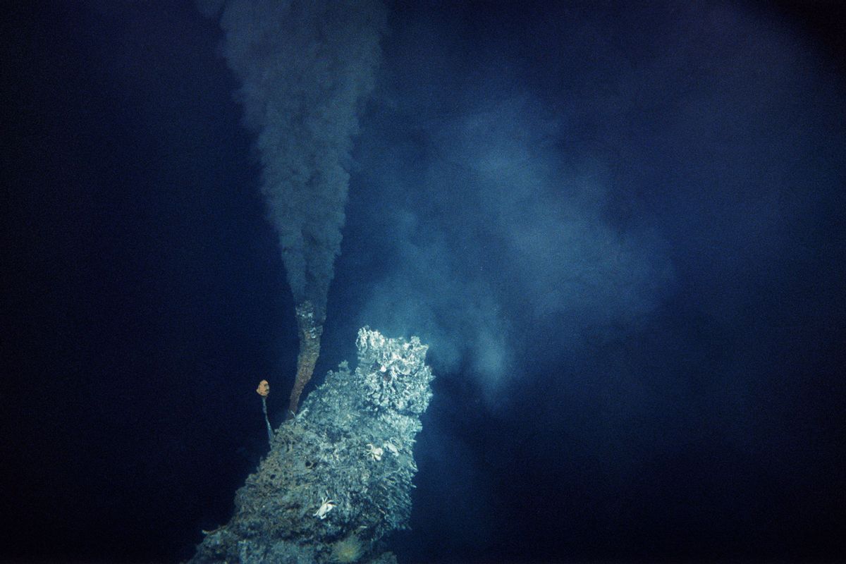 A tubular hydrothermal vent that releases hot water, known as a "black smoker", in the Pacific Ocean (Getty Images/Ralph White)