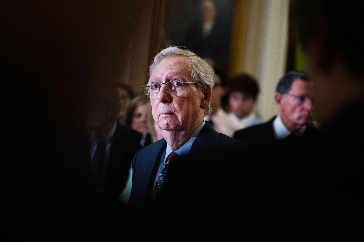 Senate Minority Leader Mitch McConnell, R-Ky., takes questions after taking a break from a news conference because of lightheadedness, after the senate luncheons on Wednesday, July 26, 2023. (Tom Williams/CQ-Roll Call, Inc via Getty Images)