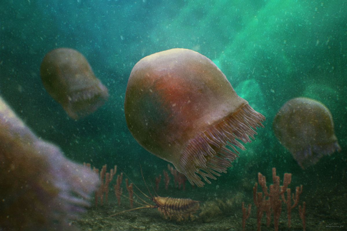 Artistic reconstruction of a group of Burgessomedusa phasmiformis swimming in the Cambrian sea (Reconstruction by Christian McCall)