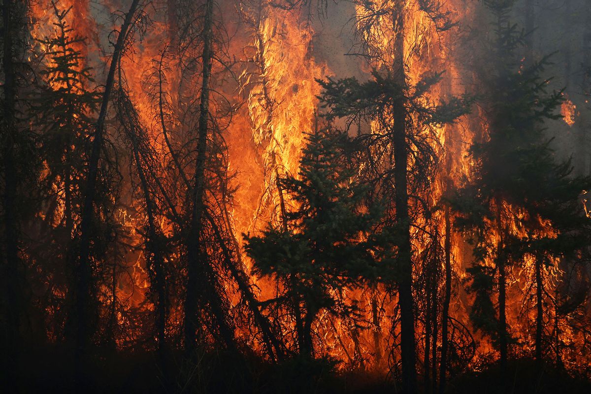 Flames engulf trees along a highway near Fort McMurray, Alberta, on May 6, 2016. (COLE BURSTON/AFP via Getty Images)