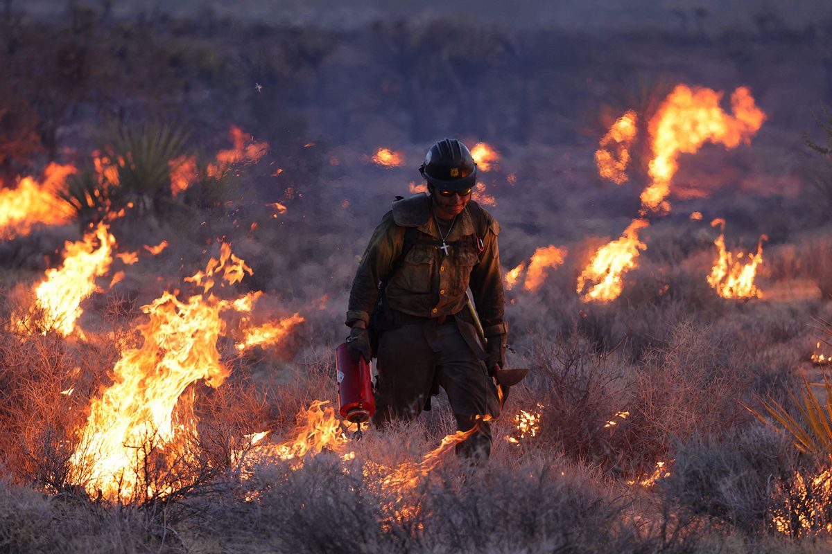 Crane Valley Hotshots set a back fire as the York fire burns in the Mojave National Preserve on July 30, 2023. (DAVID SWANSON/AFP via Getty Images)
