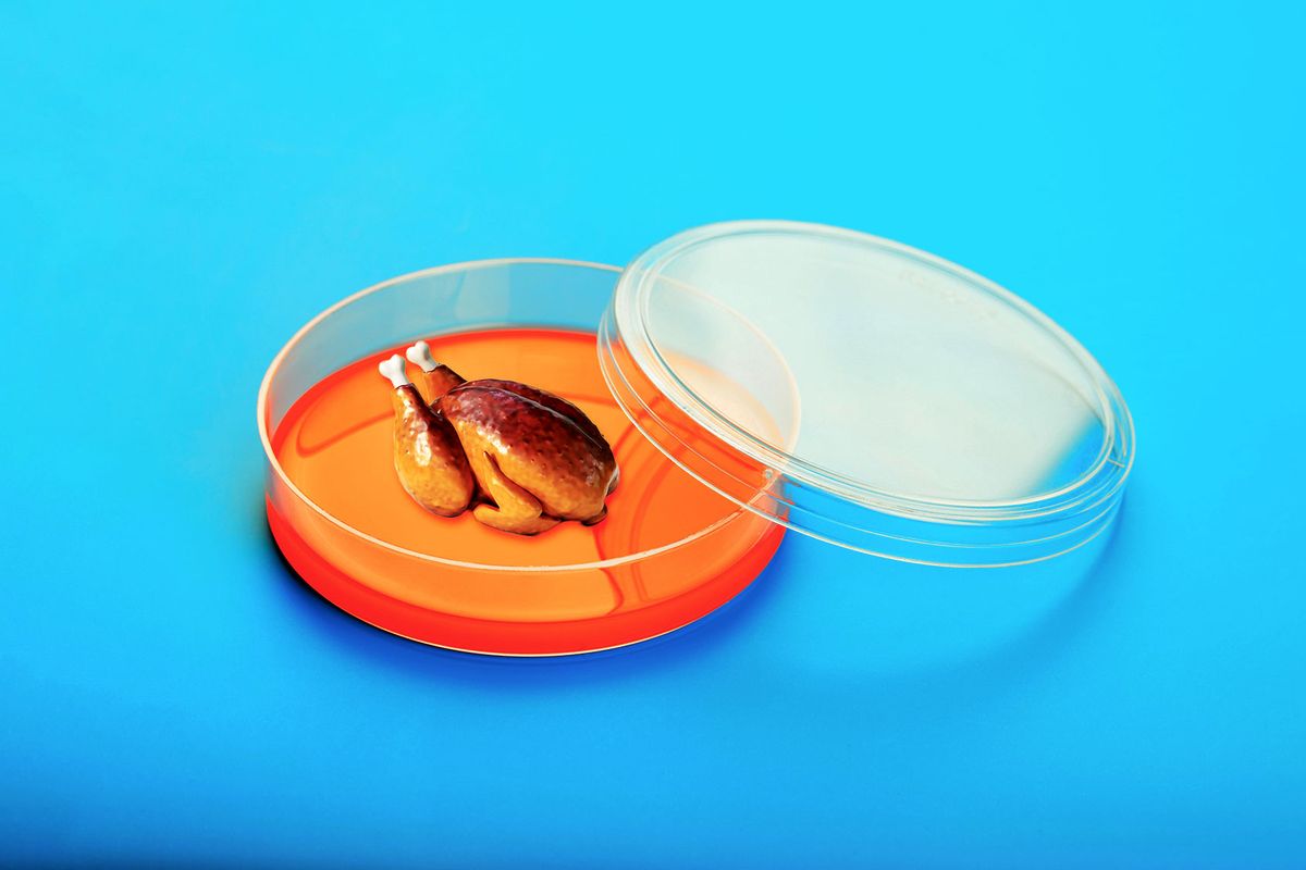 Roast Chicken In A Petri Dish (Photo illustration by Salon/Getty Images)