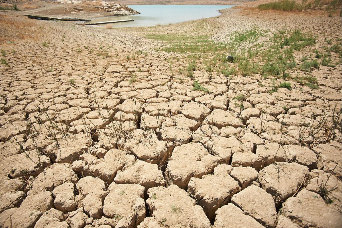24 August 2023, Spain, Vinuela: Vegetation makes its way through the drought-ridden earth on the shores of the Viñuela reservoir. (Felipe Passolas/picture alliance via Getty Images)