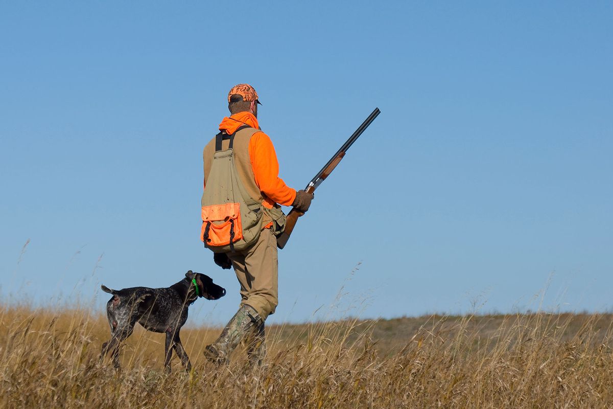 Hunter out pheasant hunting on the prairie with his dog (Getty Images/SteveOehlenschlager)