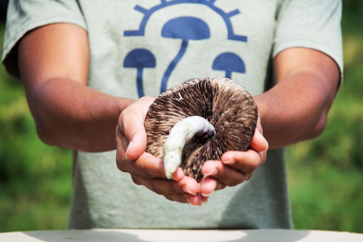 Holding a large mushroom (Photo courtesy of MycoMeditations)