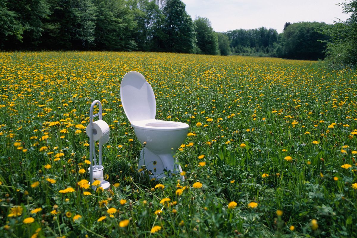 Toilet and toilet paper holder in field of dandelions (Getty Images/Hiroshi Higuchi)