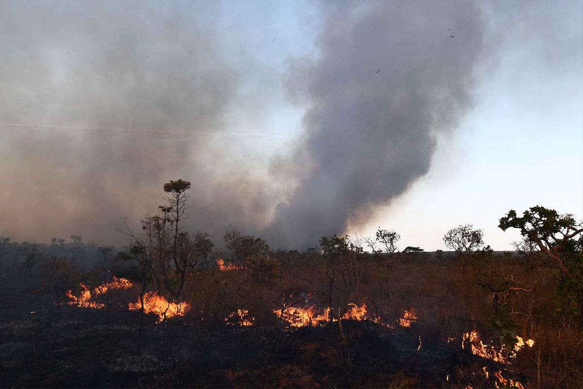 Flames rise as smoke billows from a forest during a wildfire in Brasilia National Park on September 5, 2022. (EVARISTO SA/AFP via Getty Images)