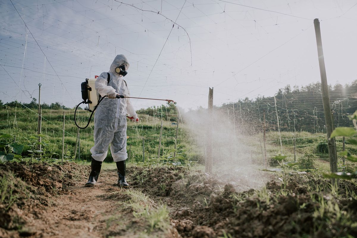 Farmer Spraying Chemicals (Getty Images/Edwin Tan)