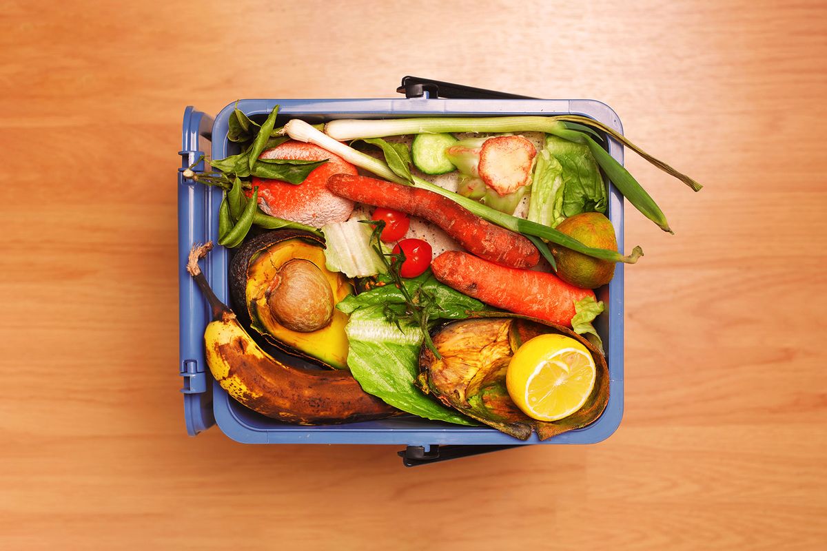 Rotten food in food bin (Getty Images/Peter Dazeley)
