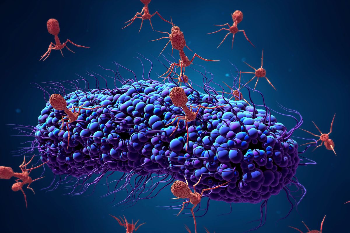 Bacteriophage infecting bacterium (Getty Images/Design Cells)