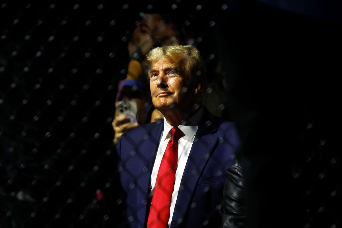 Former U.S. President Donald Trump attends the UFC 295 event at Madison Square Garden on November 11, 2023 in New York City. (Sarah Stier/Getty Images)