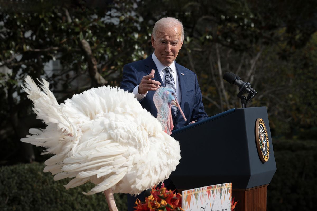 U.S. President Joe Biden pardons the National Thanksgiving turkeys Liberty (shown) and Bell during a ceremony on the South Lawn of the White House on November 20, 2023 in Washington, DC. (Win McNamee/Getty Images)