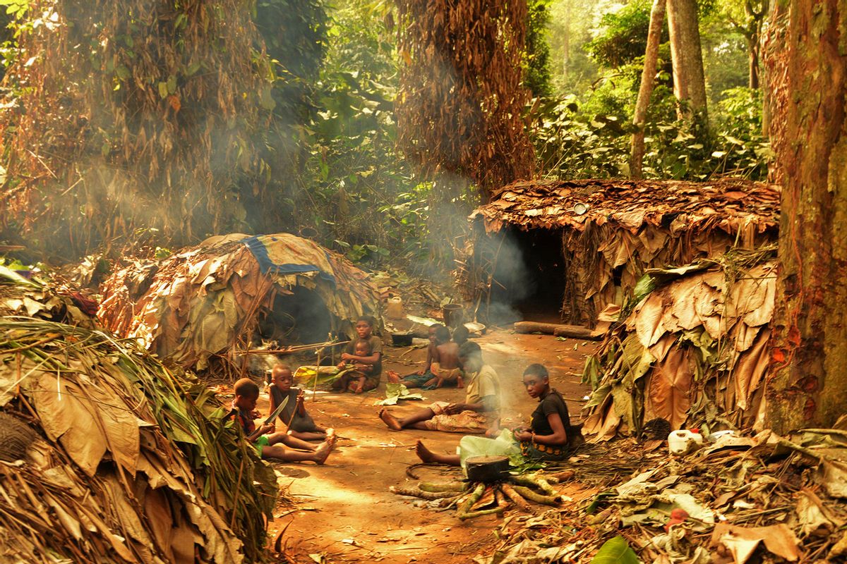 A Mbendjele camp in the Congo rainforest (Dr Nikhil Chaudhary)