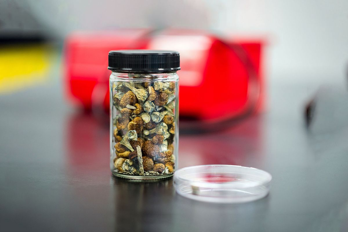 A Jar Of Dried Psilocybe Mushrooms (Getty Images/James MacDonald/Bloomberg)